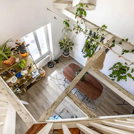 Duplex Proche Plages Landaise Et Basques Daire